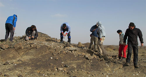 Hunting for mongolite in a sandstorm
