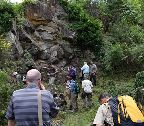 The group examining an outcrop at San Venanzo.